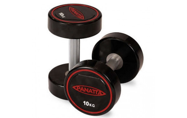 Уретановая гантель 50 кг Panatta 1RD50 600_380