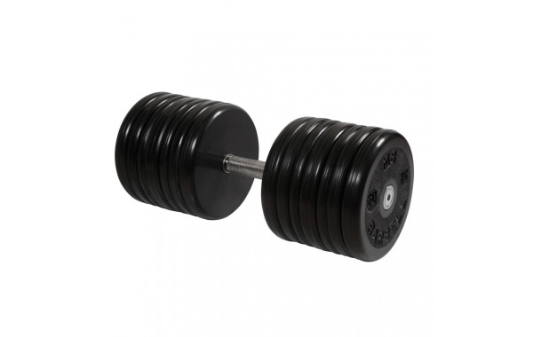 Гантель классик MB Barbell с вращающейся ручкой 60 кг MB-FdbEM-B60 600_380