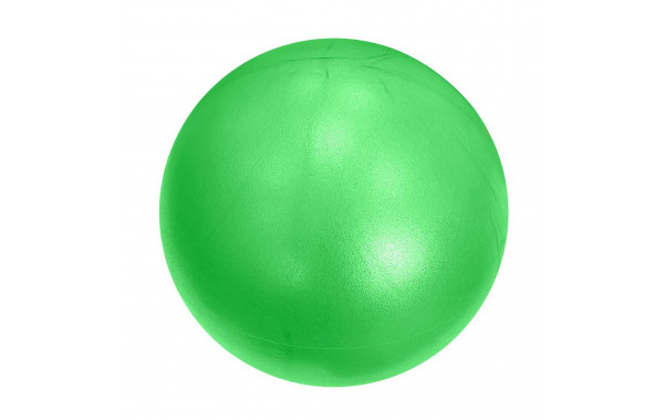 Мяч для пилатеса d20 см Sportex E3913143 зеленый 600_380