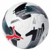 Мяч футбольный Puma Orbita 1 TB FIFA Quality Pro 08432202 р.5 75_75