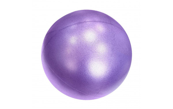 Мяч для пилатеса d25 см Sportex E39136 фиолетовый 600_380